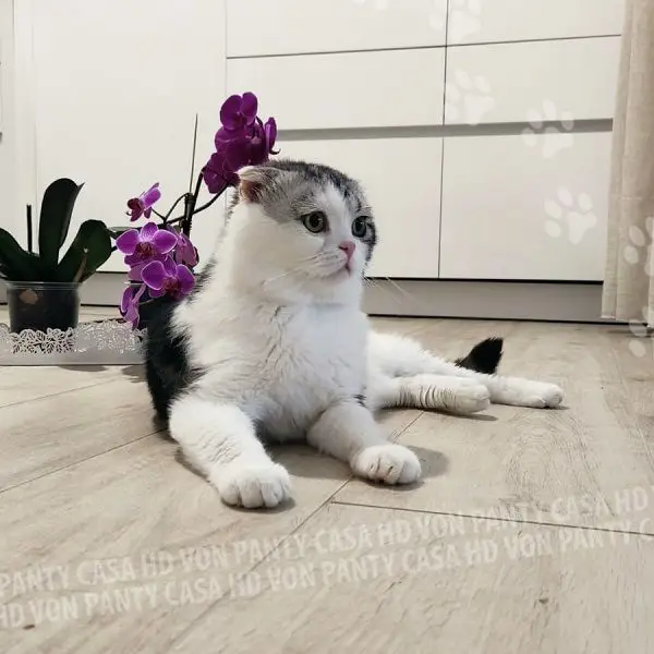 SPARTACO_08_07_2023_2_f9251d3646