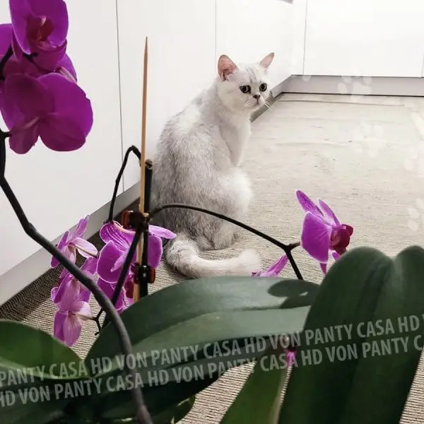 UMY_08_07_2023_9488bb8a6f