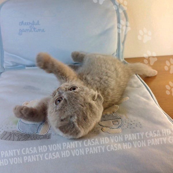 Mia Little Flower Amori per la Vita - immagine 18