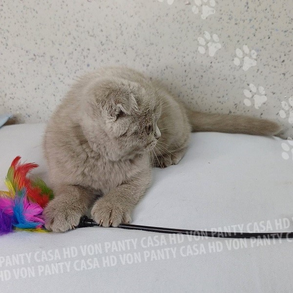 Mia Little Flower Amori per la Vita - immagine 5