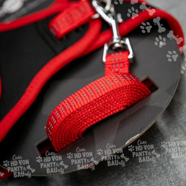 Pettorina Confort per Gatti e Cani con Guinzaglio Bobby Safe - immagine 5