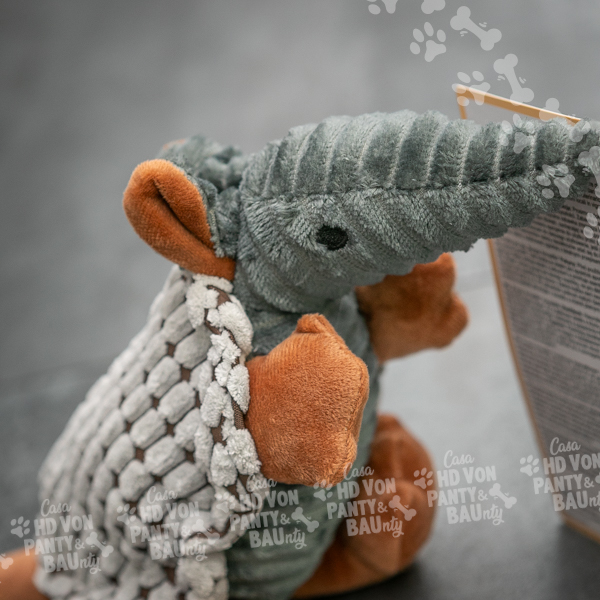 Modern Living Burgos - immagine 3