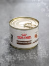 Royal Canin Gastro Intestinal Kitten 195 gr Umido Gatto