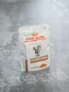 Royal Canin Gastrointestinal Feline Veterinary umido gatto