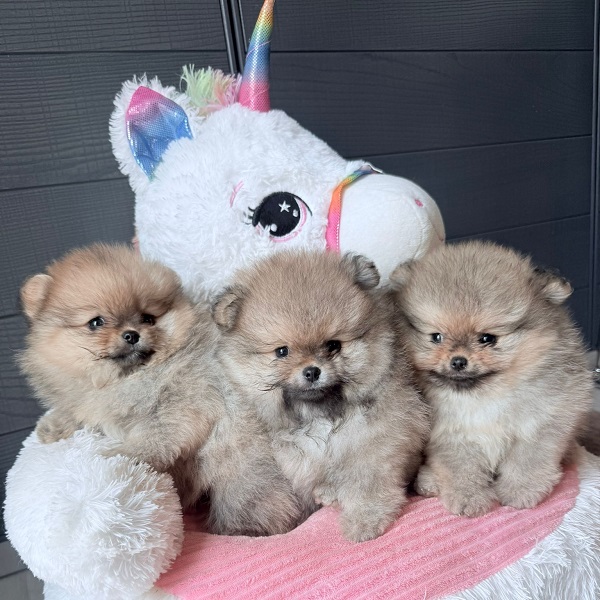 John Michael’s Story - immagine 6