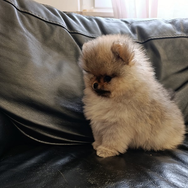 John Michael’s Story - immagine 4