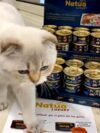 NATUA - Linea Luxury umido per gatti 85gr